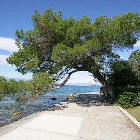 Luna * Малинска